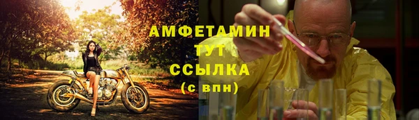 прущие грибы Липки