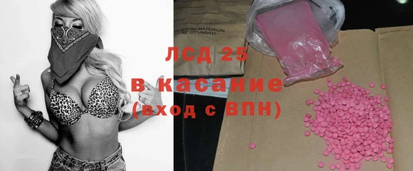 прущие грибы Липки