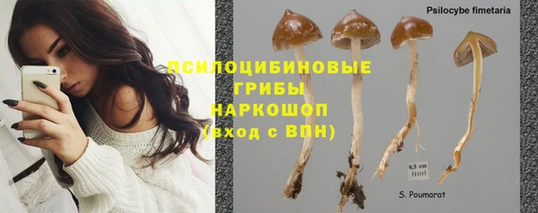 прущие грибы Липки