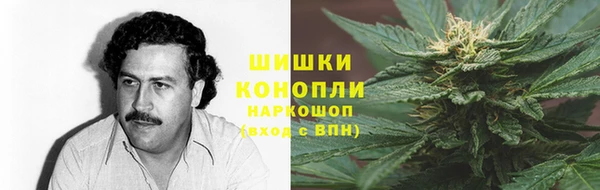 прущие грибы Липки