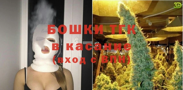 тгк Лиски