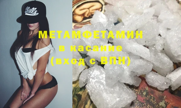прущие грибы Липки
