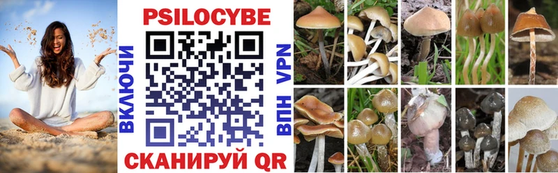 купить   blacksprut зеркало  Галлюциногенные грибы Magic Shrooms  Тетюши 